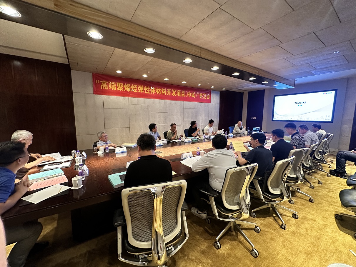 17254105545294210w7l.jpg 中试装置专家鉴定会2(1)(1).jpg